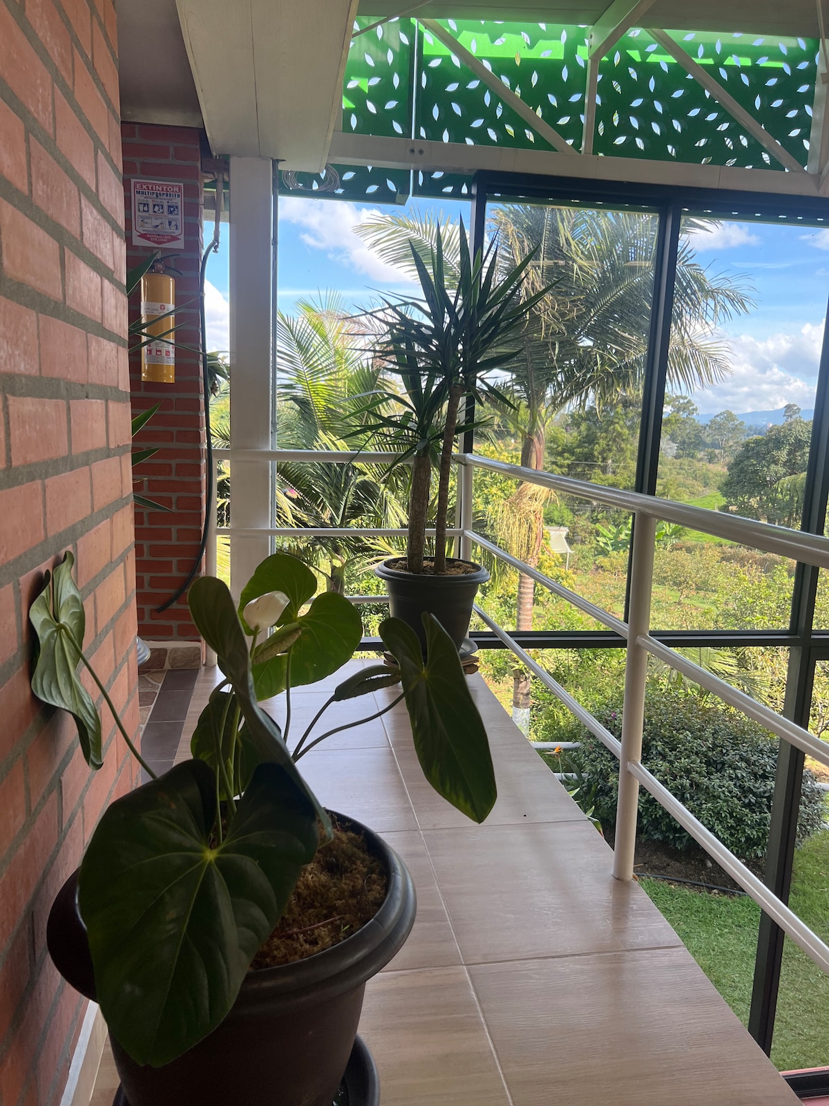 A clear glass railing borders a spacious balcony featuring two potted plants, one with broad green leaves and another with slender fronds. Lush greenery is visible beyond the glass, creating a serene outdoor view under a bright sky.
