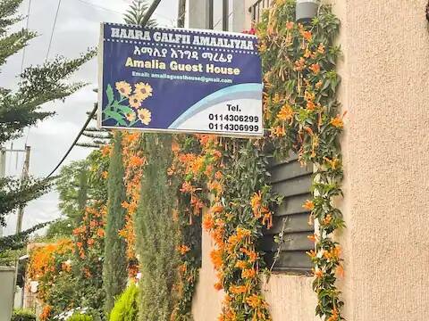 Amalia Guest House Delux Bed