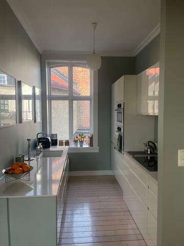 Classical and bright appartment in Briskeby gallery image 4