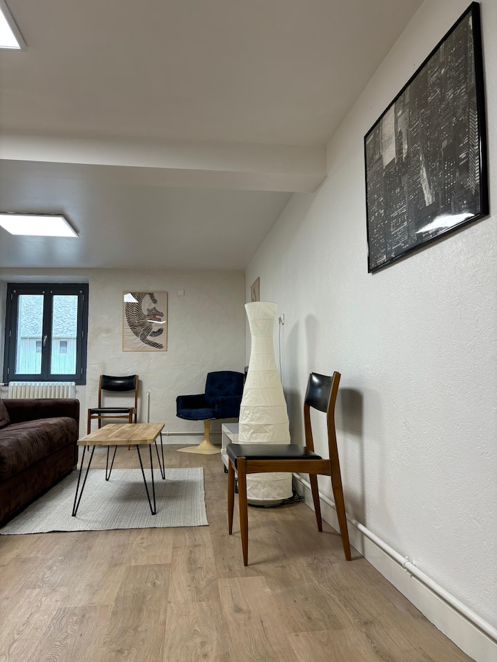 Maison Spacieuse En Ville - Poitiers