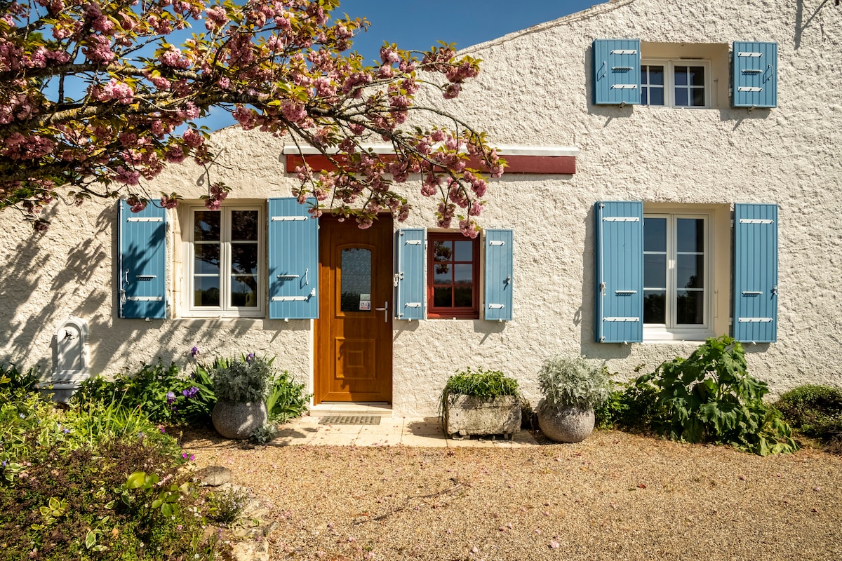 A charming entrance features a wooden door framed by two sets of blue shutters. Two windows with white frames and floral planters enhance the inviting facade. A flowering tree adds a touch of color, contributing to the welcoming atmosphere of the home.