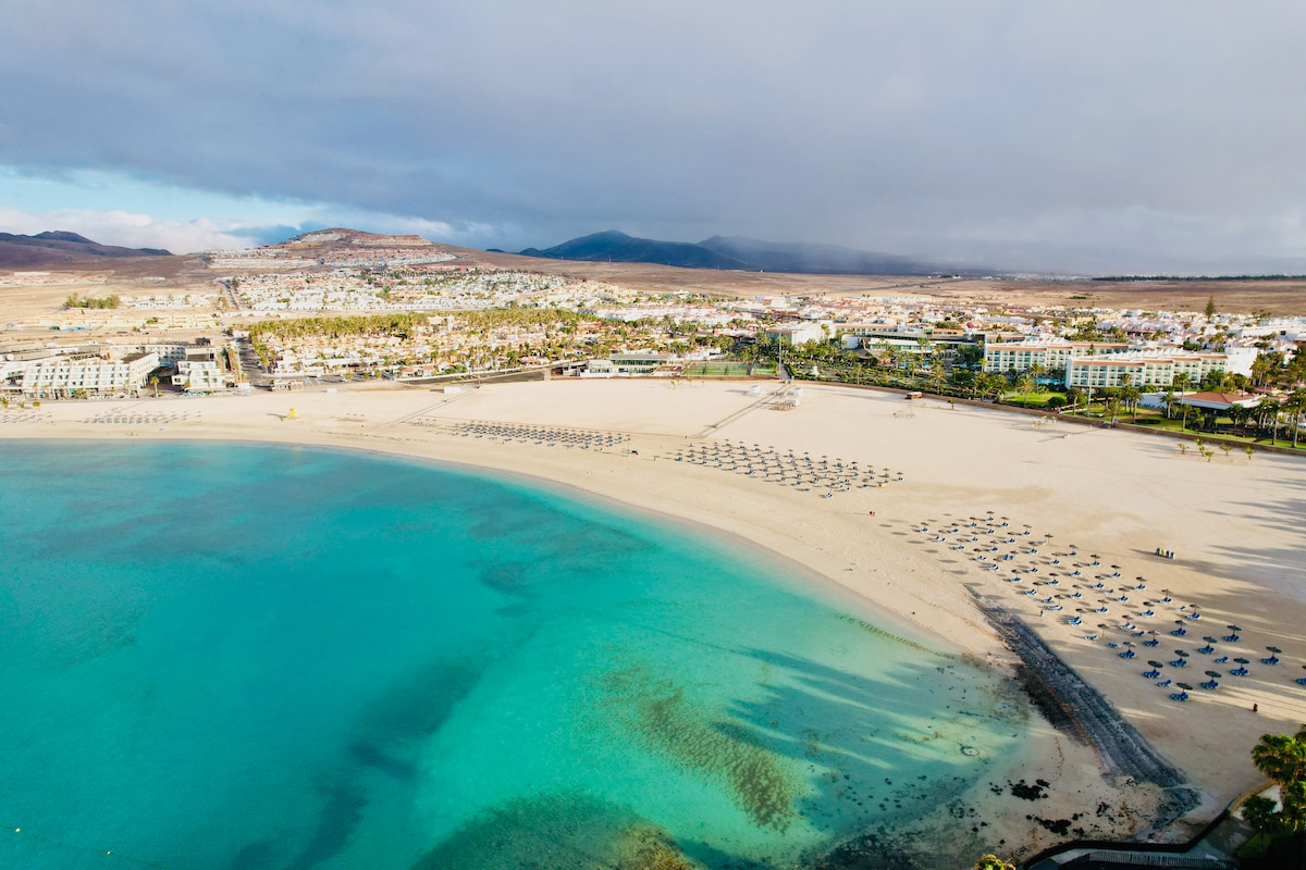 An aerial view of a sandy beach is presented, bordered by clear turquoise waters. Multiple sunbeds are arranged neatly along the beach, with a backdrop of buildings and palm trees extending along the shore. The landscape reveals a blend of natural beauty and developed areas.