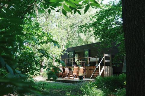 Tiny house in private forest