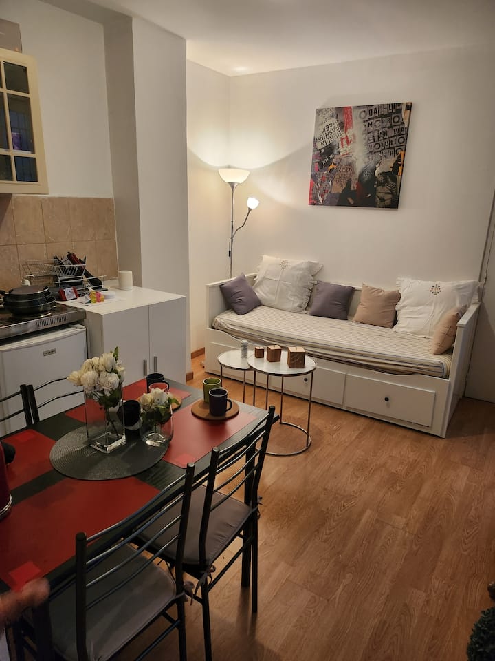 Logement Entier : Appartement - フランス パリ
