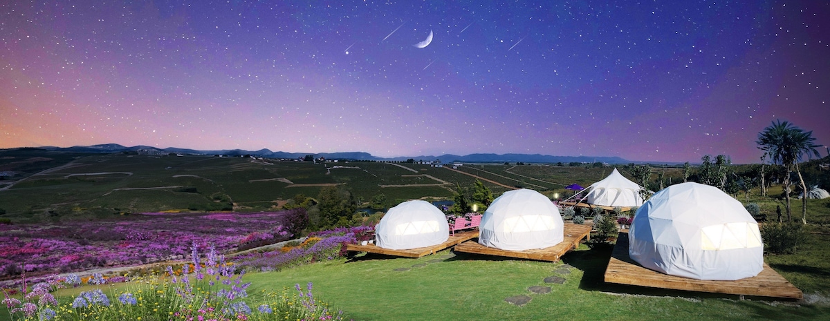 Three dome tents are positioned on a grassy area, with a vibrant field of flowers in the foreground. The sky is adorned with stars and a crescent moon, providing a serene backdrop to the rolling hills in the distance.