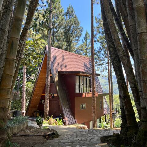 Joy's Happy Cabin and Plain