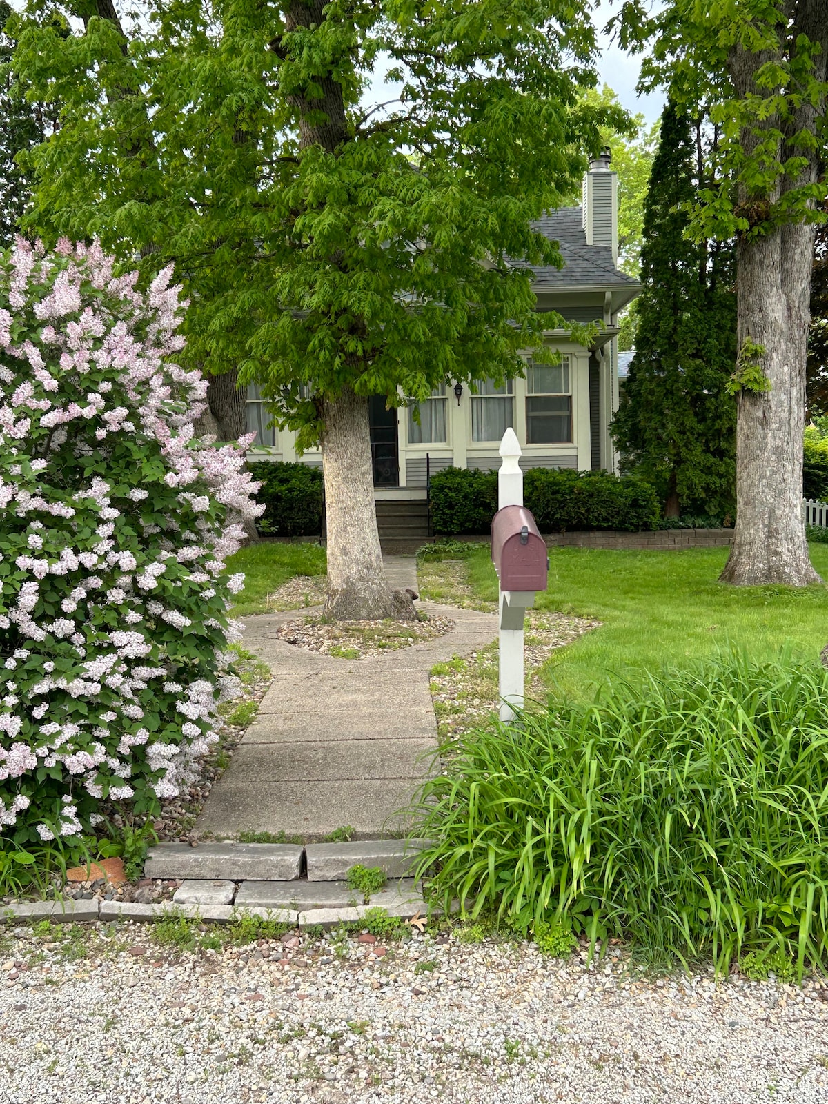 A pathway lined with gravel and bordered by green grass leads to a charming house adorned with large trees. A mailbox is positioned at the entrance, complemented by blooming lilac bushes that add color to the inviting landscape.