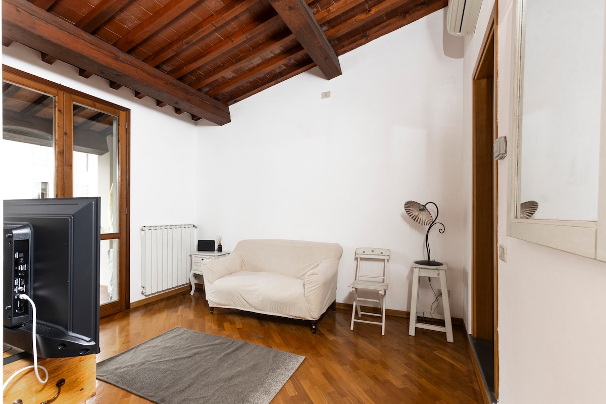 Top Airbnb: Florence green spot connected flat “la fiorentina” a Firenze