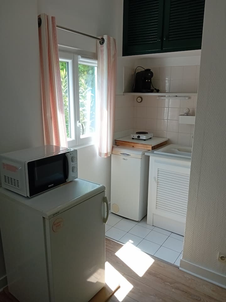 Studio Indépendant Dans Un Jardin Privatif - Saint-Cloud