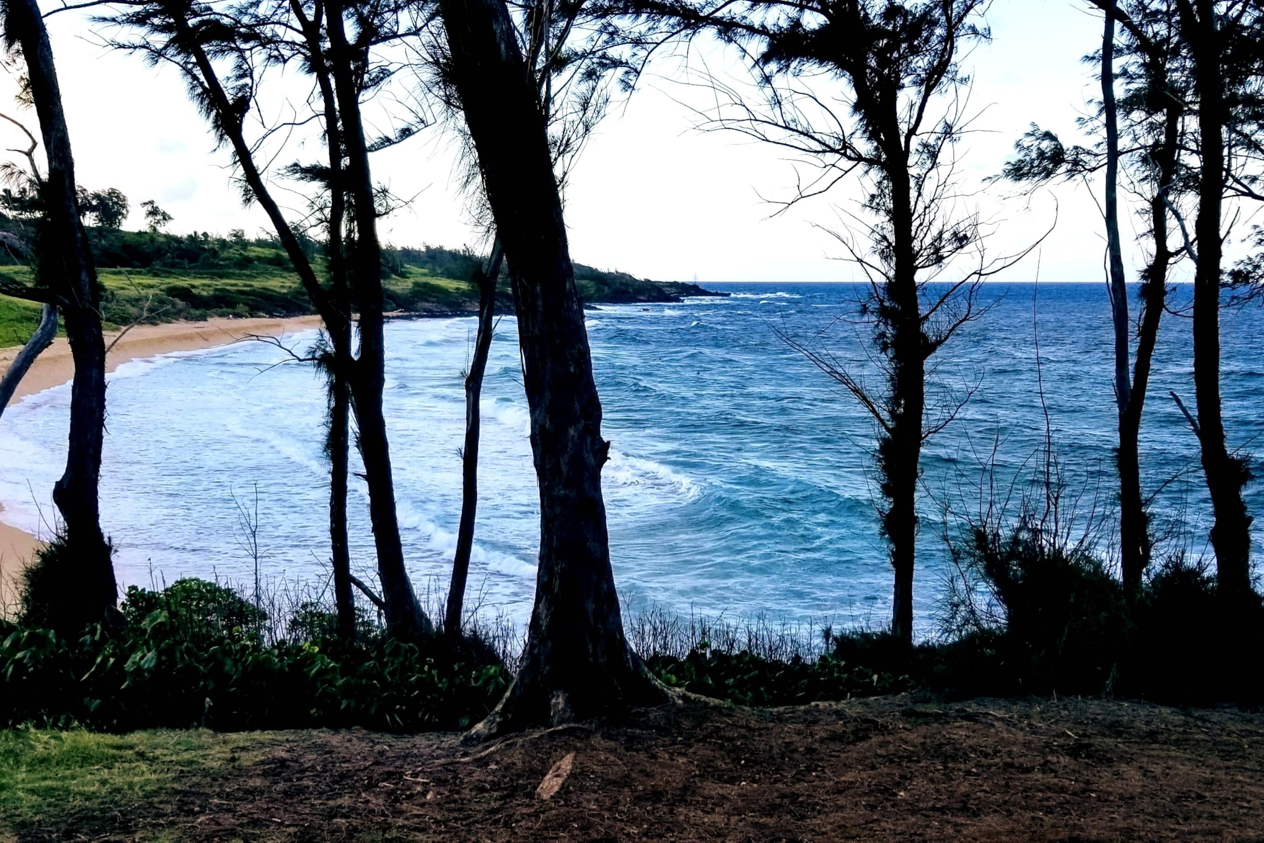 ☺Memorable Eastside Apartment Close to Ocean - Photo 24