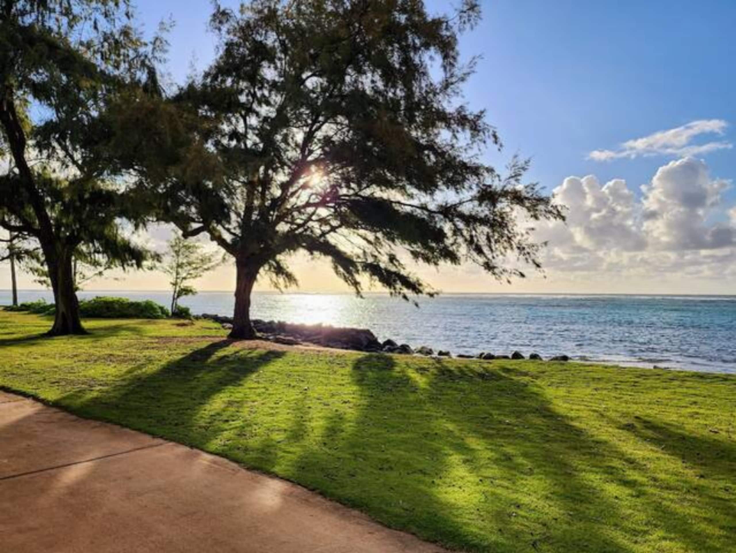 ☺Memorable Eastside Apartment Close to Ocean - Photo 63
