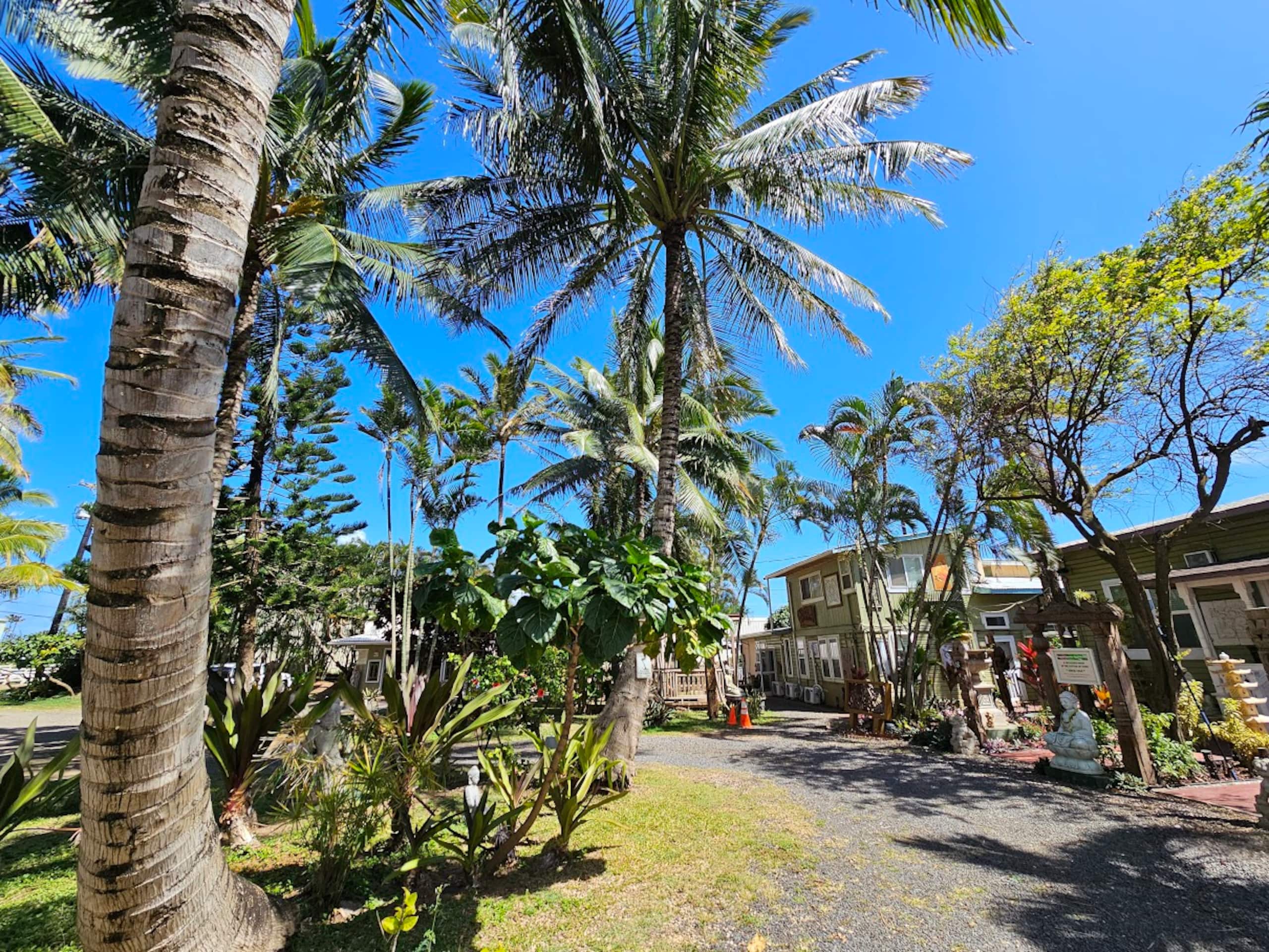 ☺Memorable Eastside Apartment Close to Ocean - Photo 54