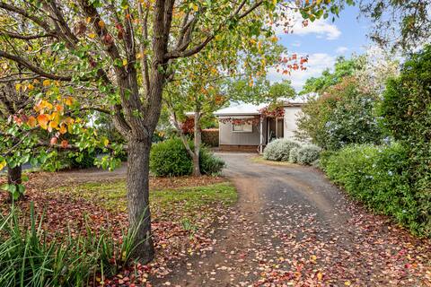 The Willows - Country Cottage