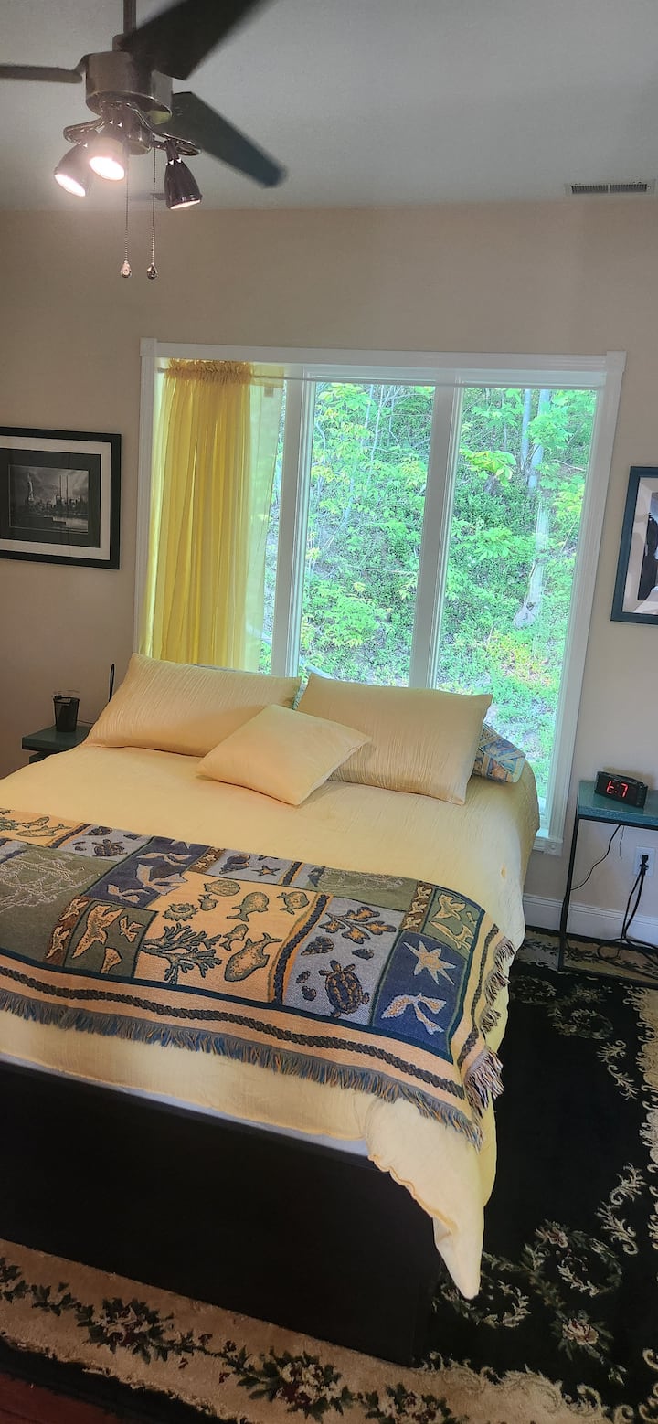 C'est la chambre avec un lit queen size. Il n'y a rien d'autre que la montagne derrière la maison avec une autre vue incroyable.