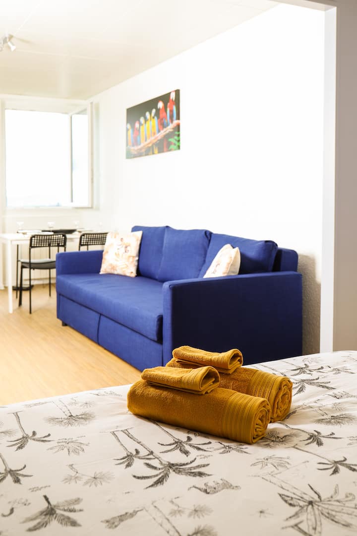 Grand Studio • Parking Gratuit • Proche Clermont - Royat