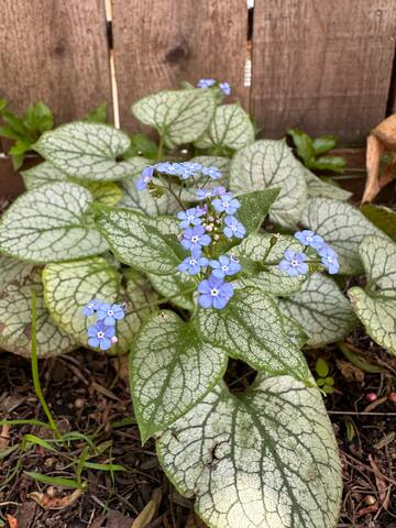 Spacious Family Friendly Home 3bd/3ba gallery image 2