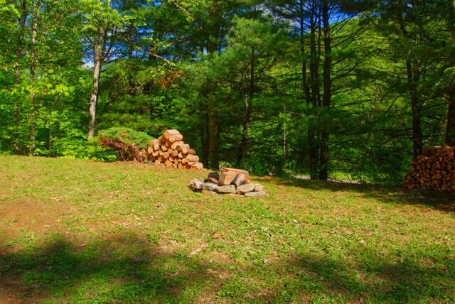 An outdoor area features a grassy expanse surrounded by trees. Stacked logs are arranged in two piles, and a fire pit made of stones is positioned in the center. Sunlight filters through the branches, casting gentle shadows on the ground.