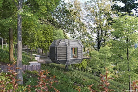 Woodland Suites @ The Montenotte