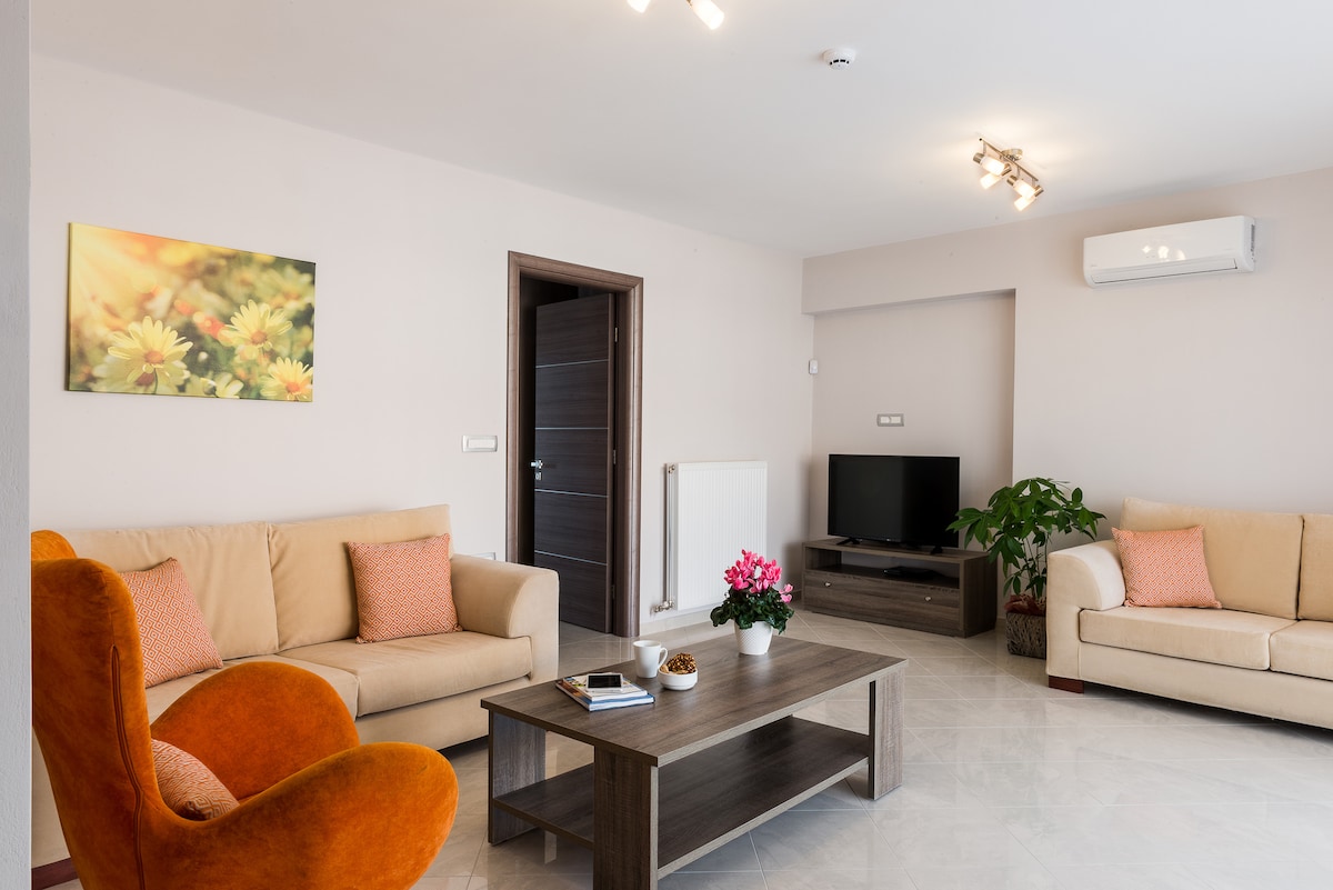 A spacious living room is presented, featuring two cream-colored sofas and an orange accent chair. A wooden coffee table is centered, adorned with a small potted plant and decorative items. A television is positioned on a low cabinet, with natural light illuminating the room.