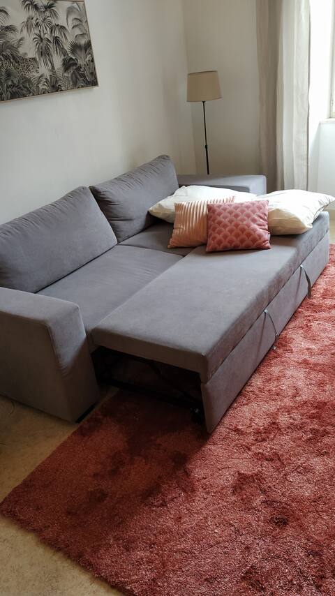 Successful Airbnb property: Le Topaze, two-room apartment near the city center with courtyard + garage in Saint Claude