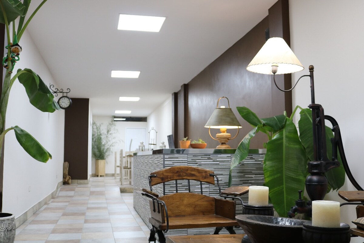 A bright corridor is lined with potted plants and wooden furniture. Soft illumination is provided by various lamps, while natural light enters through ceiling fixtures. Decorative elements, including candles and a clock, create a welcoming ambiance.