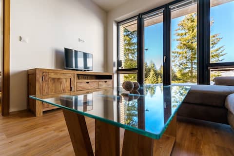 Top Airbnb: Mountain apartment Temari4 Klínovec in Vejprty