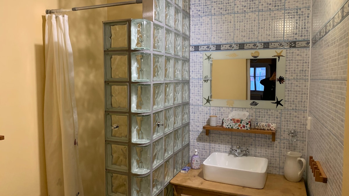 A bathroom features a unique glass block shower partition, allowing natural light to filter through. A rectangular sink is positioned atop a wooden countertop, complemented by a mirror with decorative tiles. Shelves display toiletries, and a shower curtain hangs nearby.