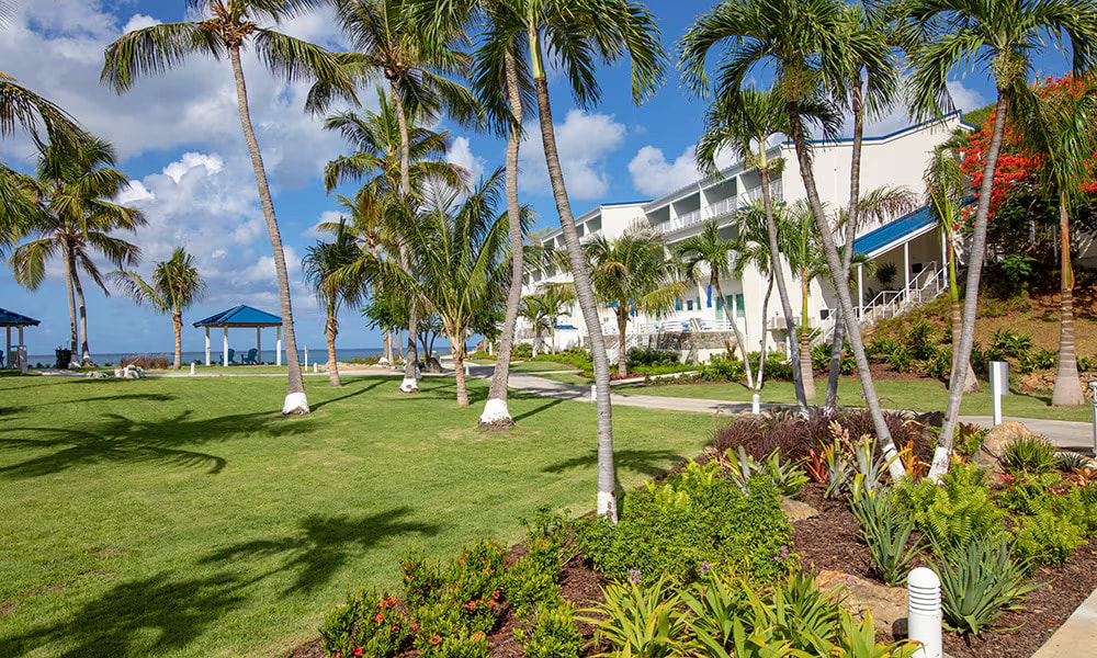 A landscaped area features well-maintained grass and vibrant tropical plants. Palm trees sway gently in the breeze, and a low building with balconies is visible in the background. Gazebo structures provide shaded seating, and the clear blue sky enhances the serene outdoor setting.