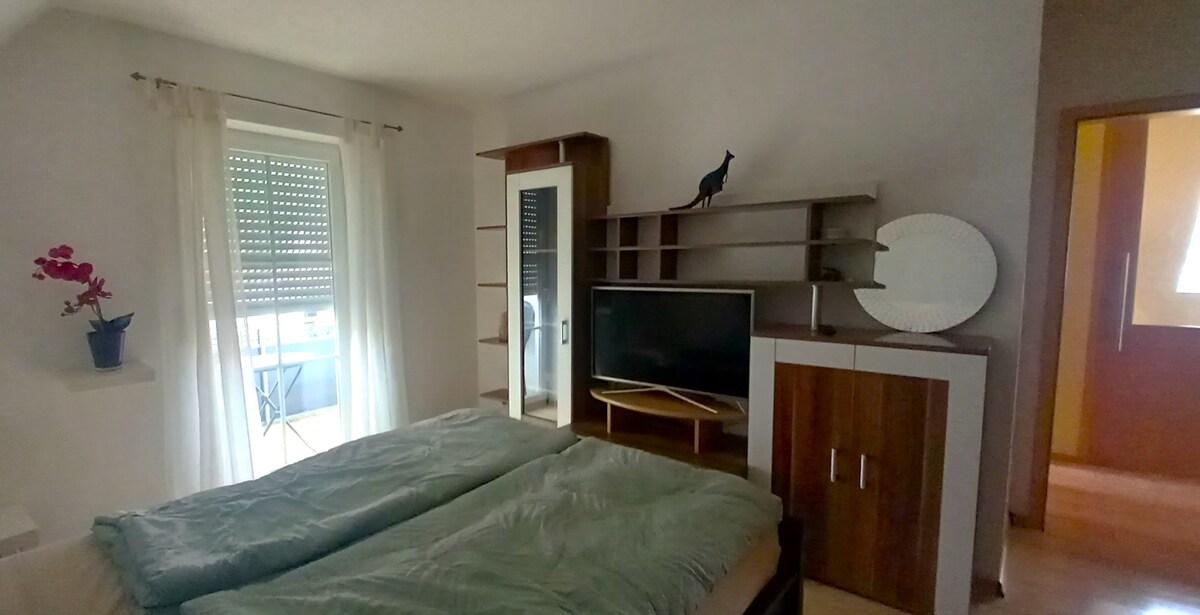 A bedroom is shown featuring a spacious bed with a light green duvet. A television is placed on a low cabinet, and a tall bookshelf adds character to the space. Natural light enters through a window with louvered shutters, complemented by a small potted plant on a shelf.