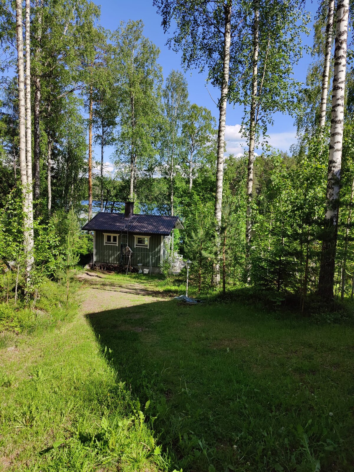 A quaint green cabin is nestled among tall birch trees, with lush greenery surrounding the entrance. The cabin features a sloped roof and a small window, offering views of a nearby lake partially visible through the trees. A path leads gently down to the cabin.