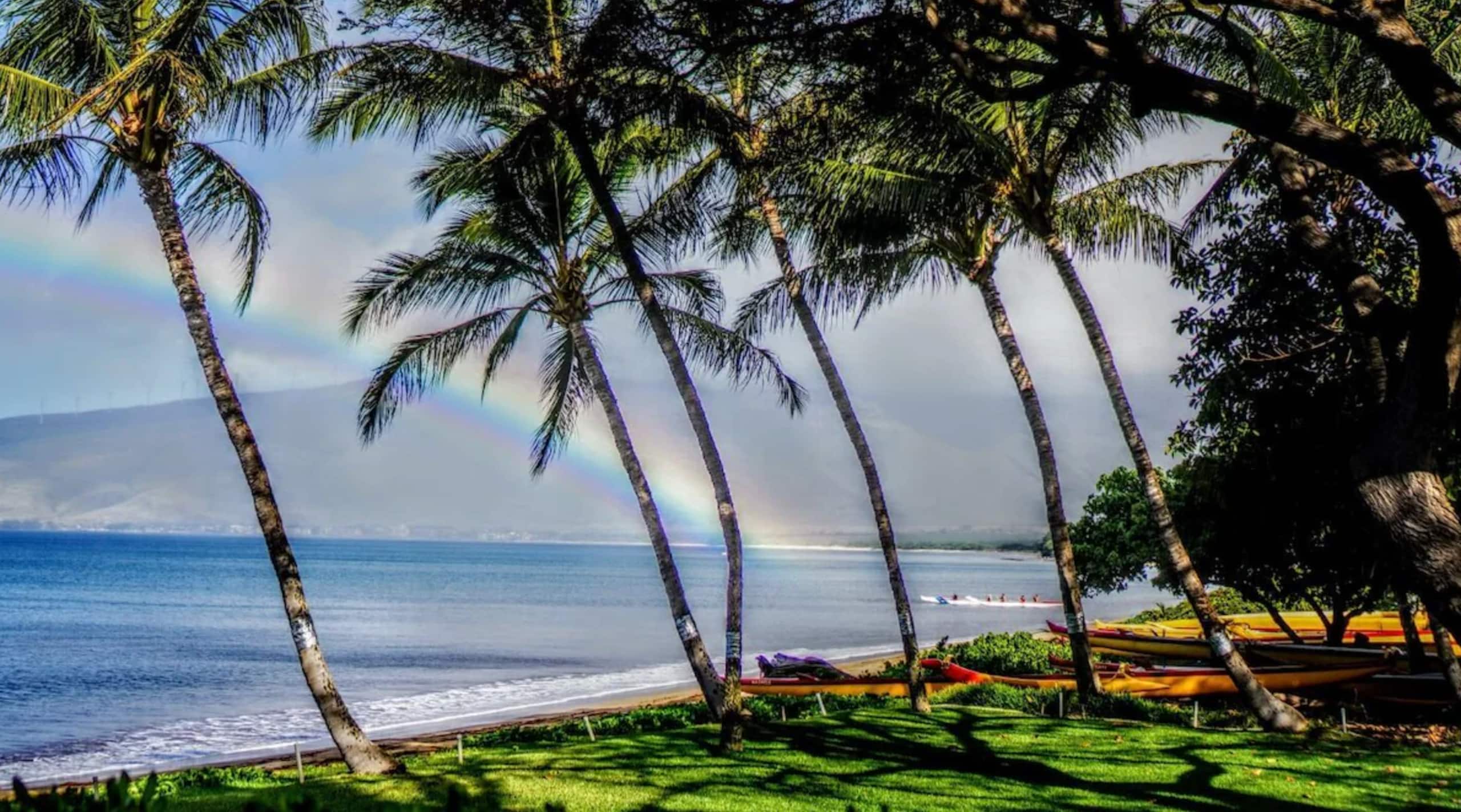 Condo in Kihei · ★4.91 · 1 bedroom · 2 beds · 1 private bath - Image 22