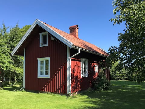 Farm environment, close to nature and the city center