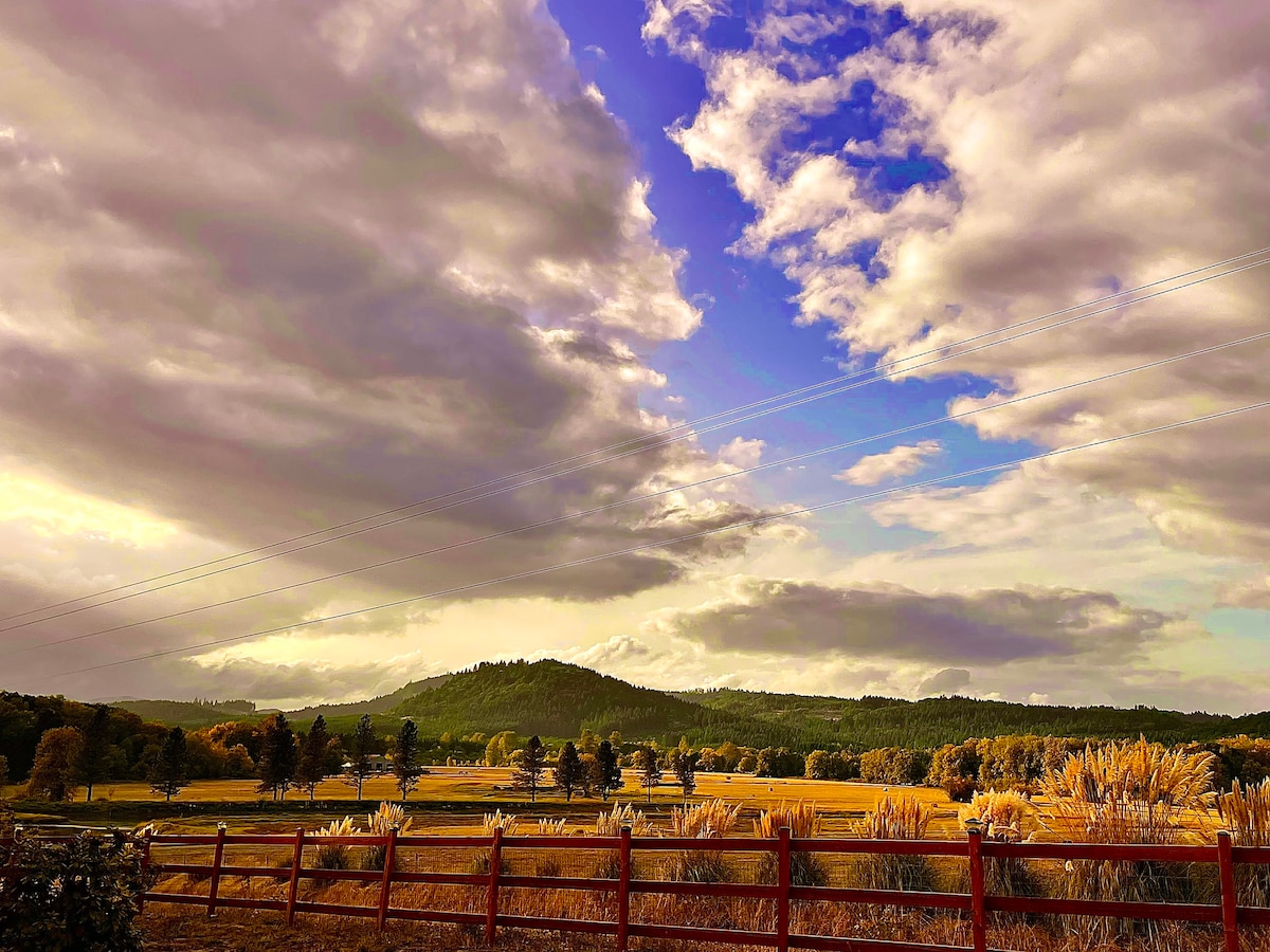 A serene landscape captures rolling hills under a vibrant sky filled with clouds. A wooden fence borders a golden meadow, while scattered trees dot the horizon. The image conveys a sense of openness, showcasing the natural beauty of the countryside.