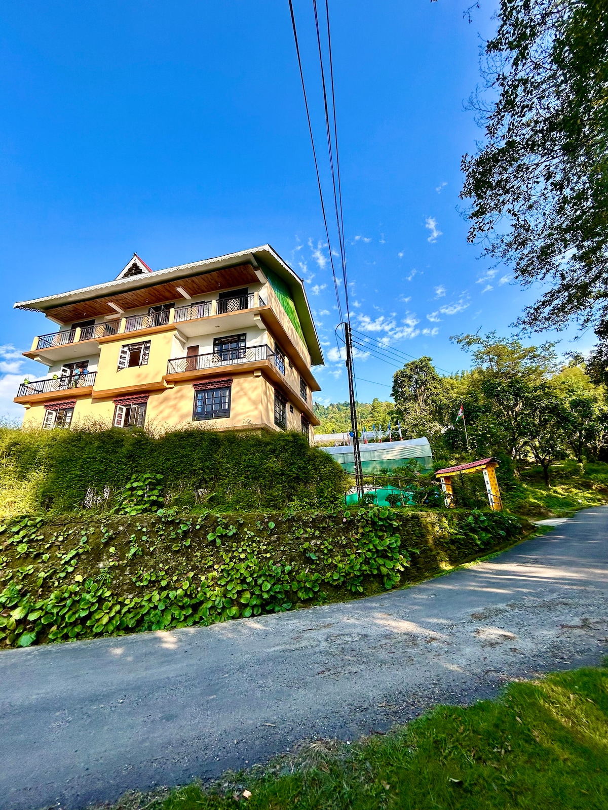 A multi-story building is set among lush greenery, with balconies adorned by plants. The driveway leads towards the entrance, framed by vibrant foliage under a clear blue sky.