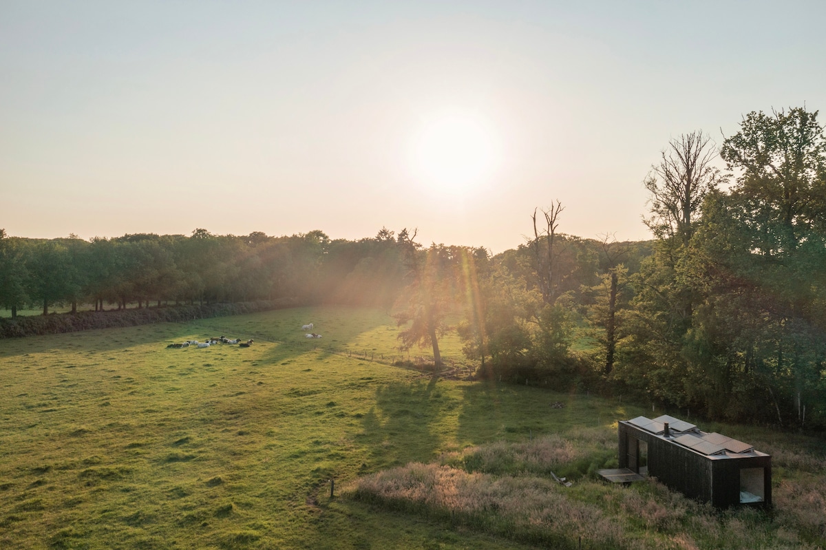The image captures a serene landscape bathed in warm sunlight, with a small, modern cabin set against a backdrop of lush greenery. Fields stretch into the distance, where livestock can be seen grazing under the soft afternoon glow.