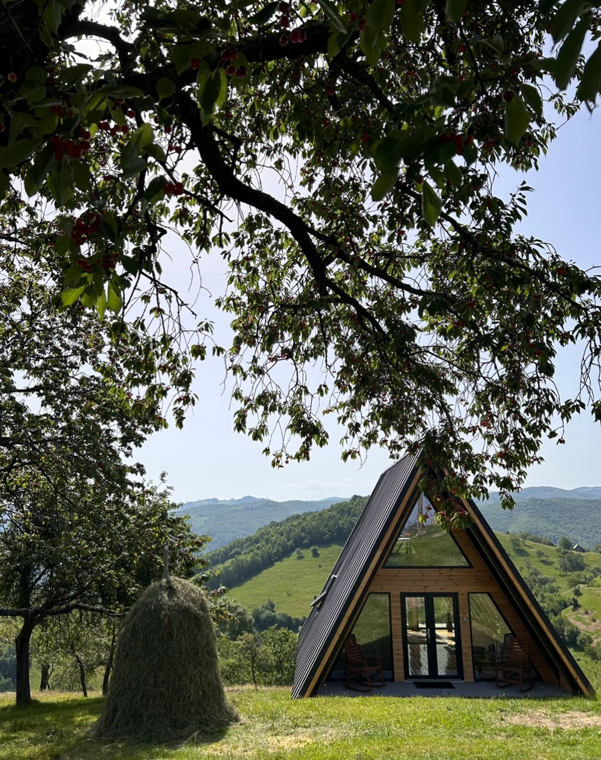 Purcareti24-Cabin