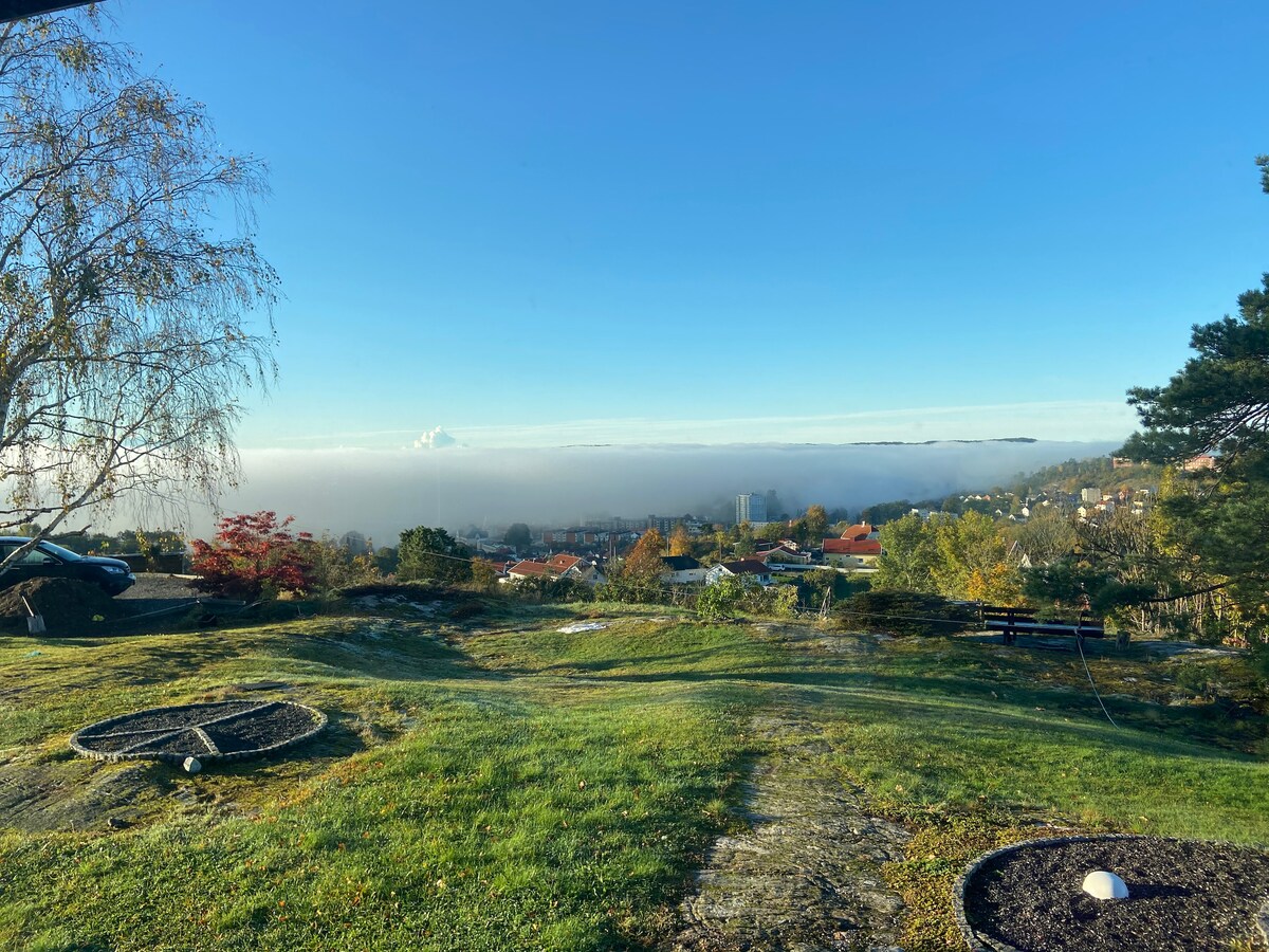 A panoramic view showcases a fog-covered landscape, with hints of colorful buildings visible beneath the mist. Lush green grass extends in the foreground, framed by trees, while the sky above is clear and blue, creating a serene atmosphere in this picturesque setting.