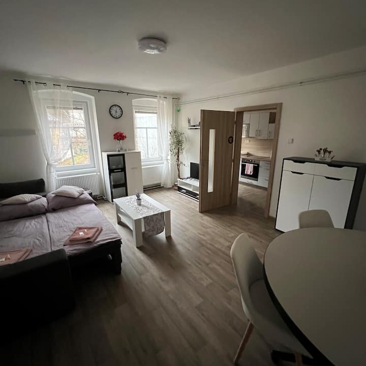 Apartmán V Prvním Patře č.2 - Karlsbad