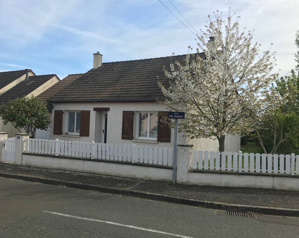 A single-story house with a sloped roof is surrounded by a white picket fence. Windows are adorned with wooden shutters. A flowering tree is situated in the front yard, adding a touch of greenery to the landscape. A quiet street runs alongside the property.