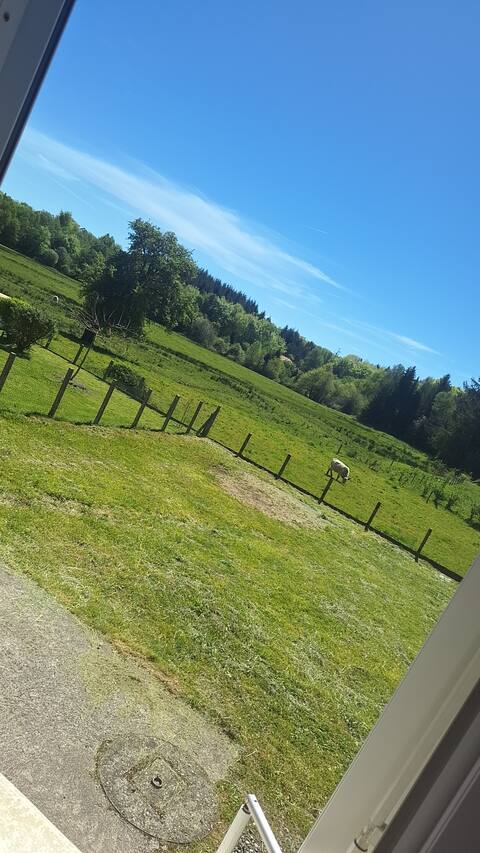 small house with garden