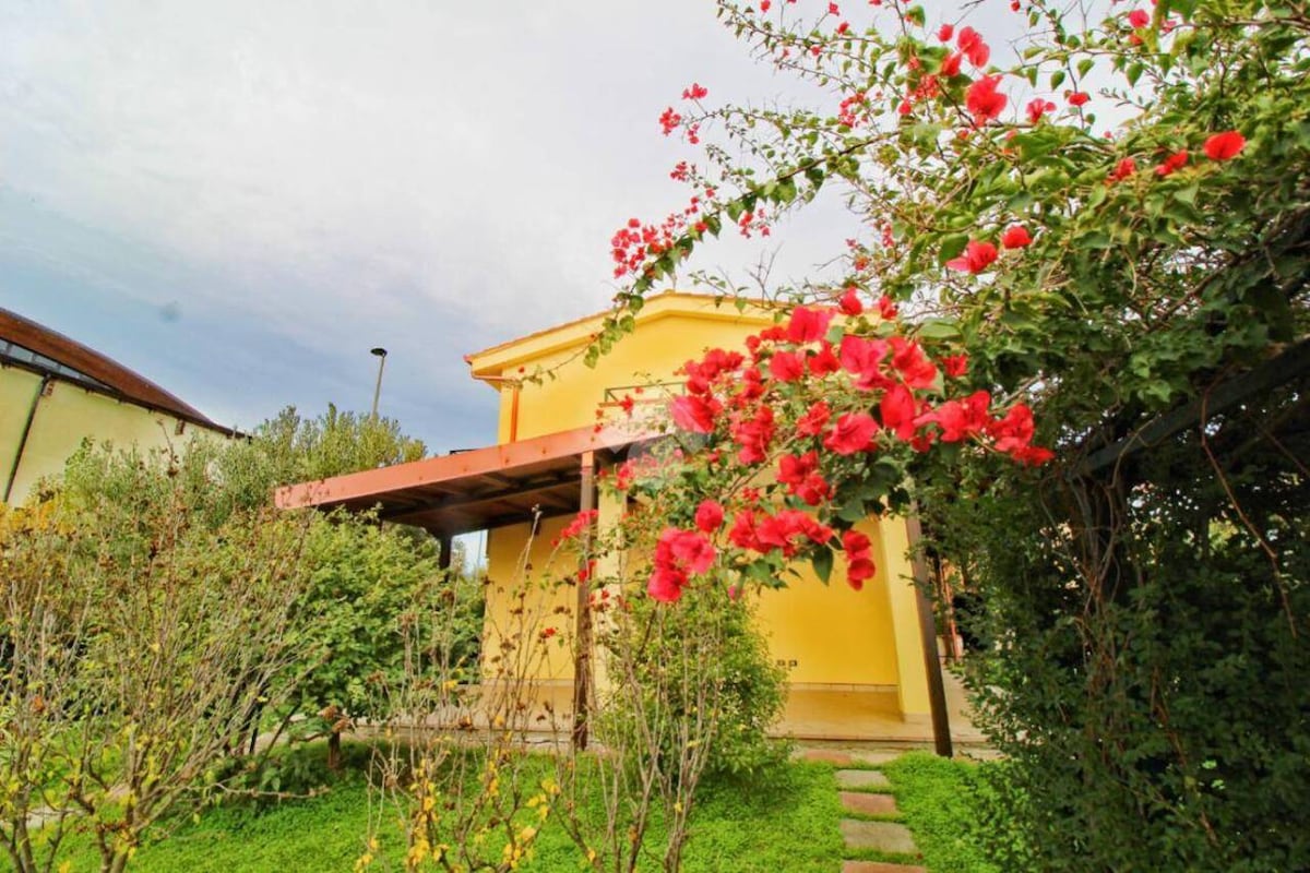 A charming yellow villa is framed by vibrant blooming plants, creating a welcoming entrance. The surrounding garden features a well-maintained pathway leading to the entrance, with lush greenery adding to the tranquil setting.