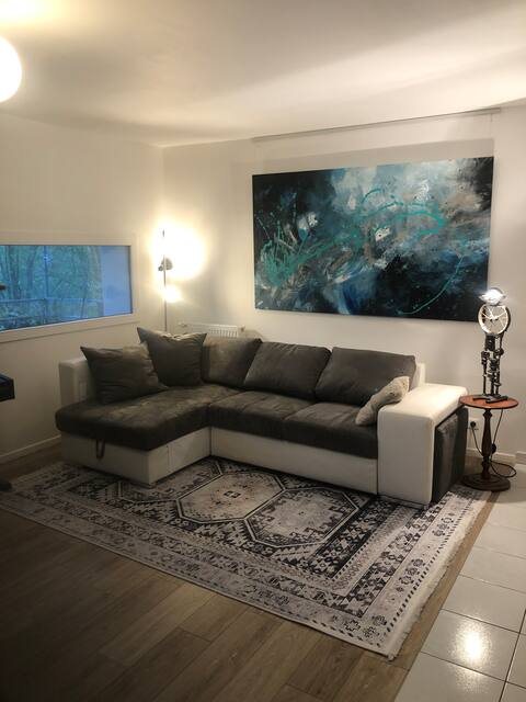 100 m2 Apartment, view on seine