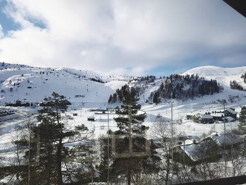 Large family cottage in Bortelid