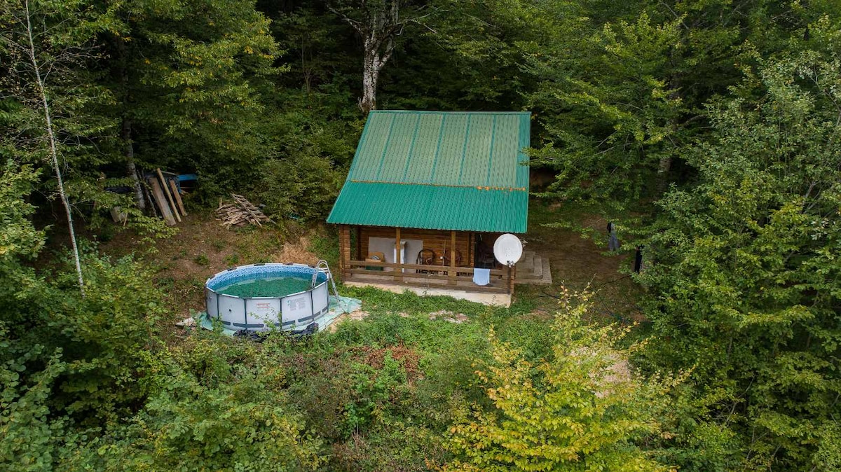 A rustic cabin with a green metal roof is surrounded by lush forest foliage. An above-ground pool is positioned nearby, complemented by a satellite dish attached to the cabin. Natural light highlights the wooden structure and its peaceful, secluded setting.
