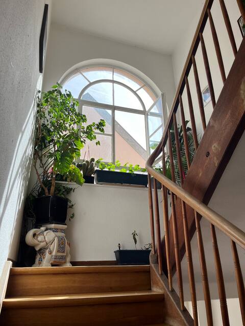Beautiful apartment on Marienplatz