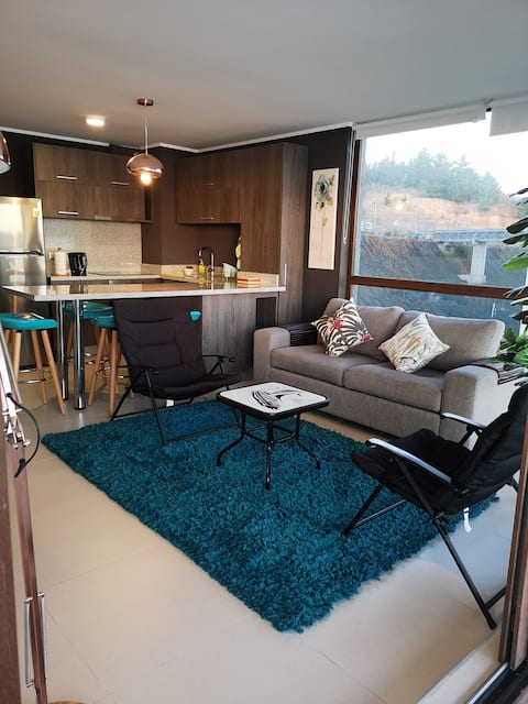 Popular Airbnb listing: Luxury Apartment in Pingueral in Tomé