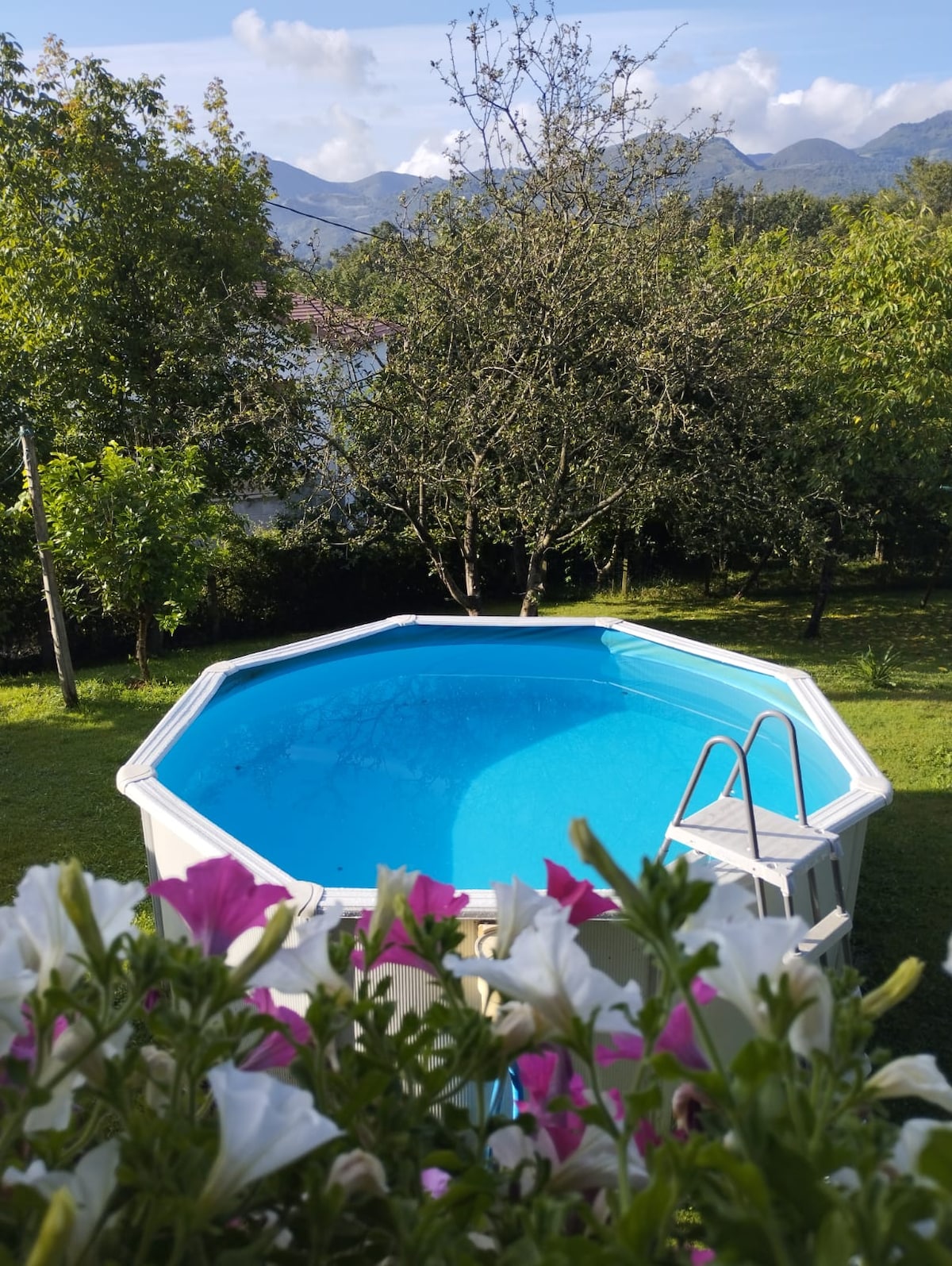 An above-ground pool is surrounded by green grass and trees, with mountains visible in the background. Colorful flowers in the foreground add a touch of vibrancy, while a ladder offers access to the pool, inviting relaxation in a serene outdoor setting.