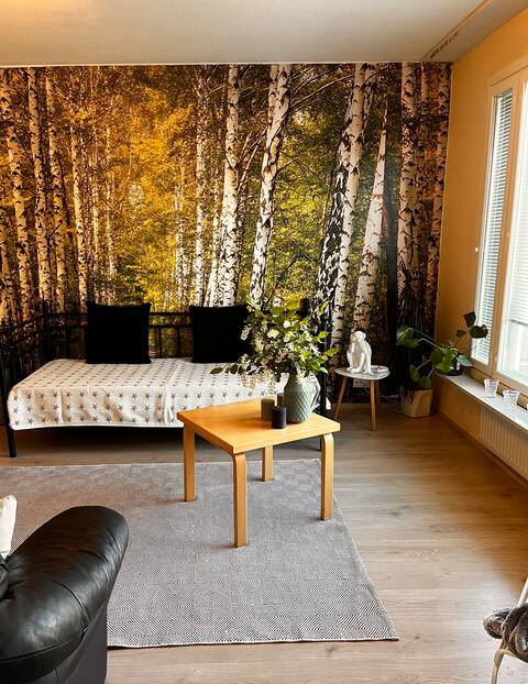 Popular Airbnb listing: Two-room apartment in a great location in Iv