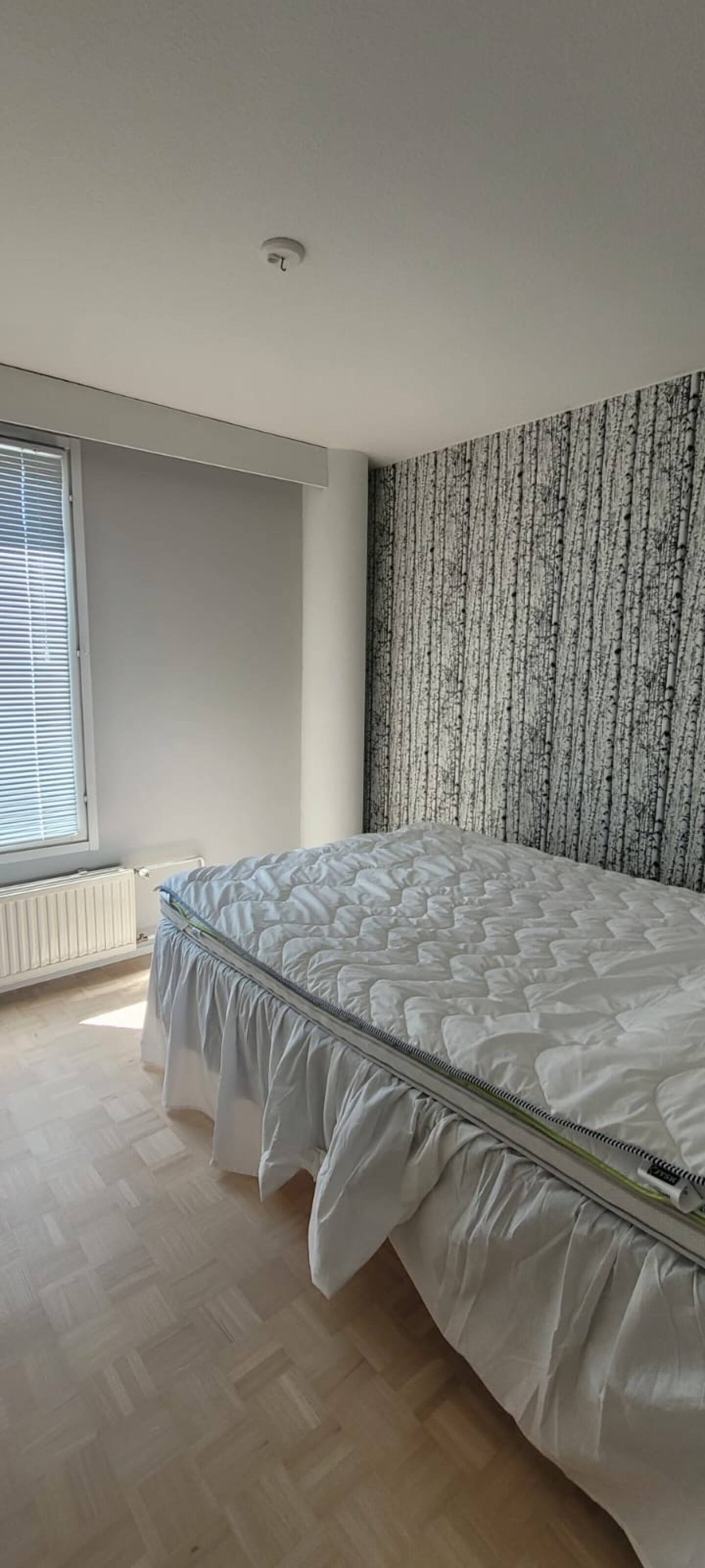 Rauhallinen Kaksio 5