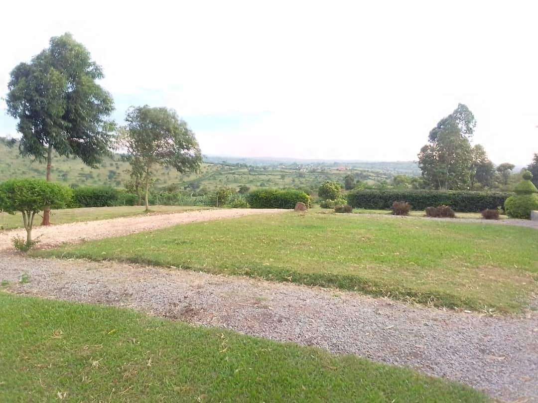 A serene landscape is captured, showcasing a grassy area bordered by neatly trimmed shrubs and trees. The pathway is made of gravel and leads toward the horizon, where rolling hills can be seen under a soft sky. The setting conveys a tranquil outdoor atmosphere.